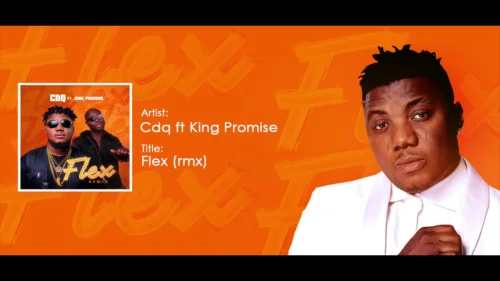 CDQ - Flex Remix (feat. King Promise)