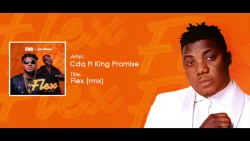 CDQ - Flex Remix (feat. King Promise)