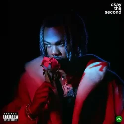 CKay - Nothing Spoil (feat. Bella Shmurda)