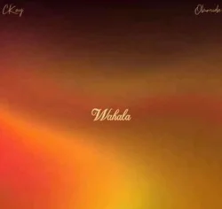 CKay - Wahala (feat. Olamide)