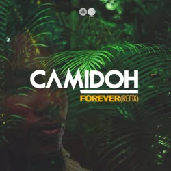 Camidoh - Gyakie Forever Refix