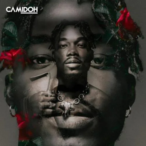 Mayorkun - Sugarcane - Remix (feat. Darkoo)