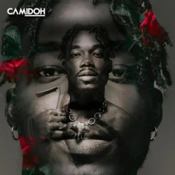 Mayorkun - Sugarcane - Remix (feat. Darkoo)