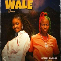 Candy Bleakz - Wale Remix