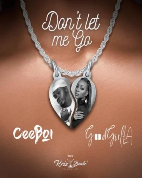 CeeBoi - Don't Let Me Go