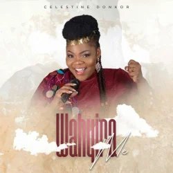 Celestine Donkor - Wahyira Me (feat. Wahyira Me)