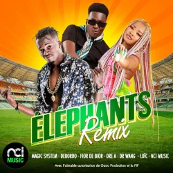 Chap Music - Eléphants (Remix) (feat. Magic System, Debordo Leekunfa, Fior 2 Bior, DRE-A & Dr Wang)