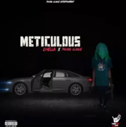 Chella - Meticulous (feat. Young Clique)