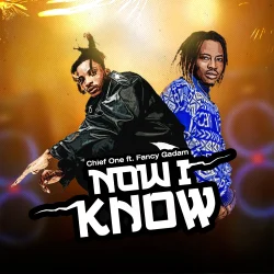 Chief One - Now I Know (feat. Fancy Gadam)