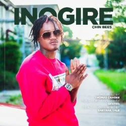 Chin Bees - Inogire