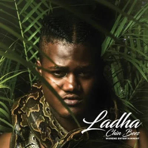 Chin Bees - Ladha