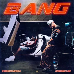 Chronic Law - Bang (feat. TroubleMekka)