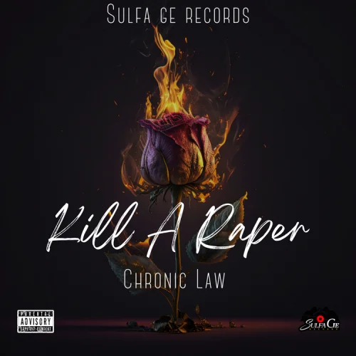 Chronic Law - Kill A Raper