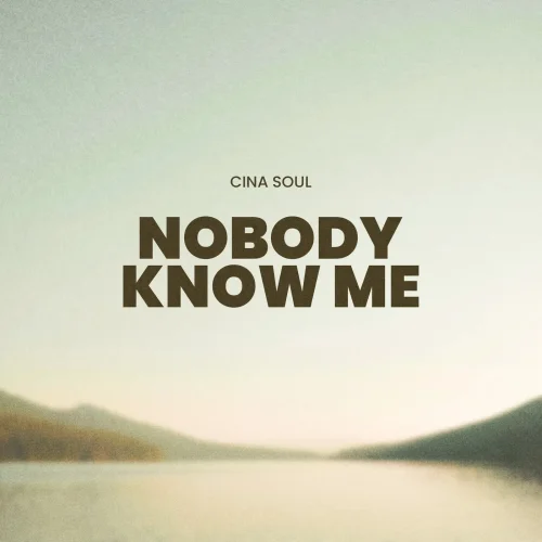 Cina Soul - Nobody Know Me