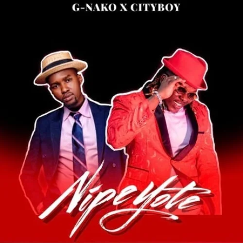 City Boy - Nipe Yote (feat. G Nako)