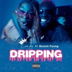 Cocotrey - Yung (feat. Dripping & Bosom P)