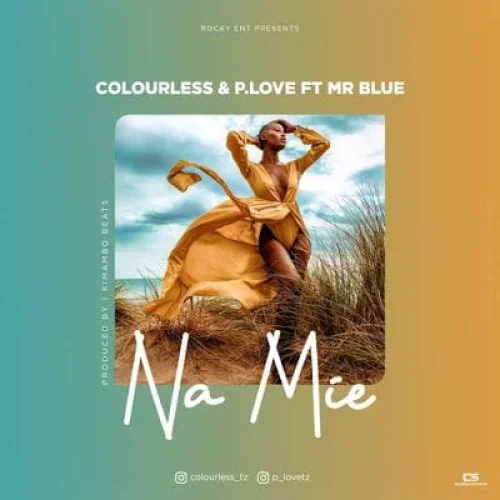 Colourless - Na Mie (feat. Mr Blue & P Love)