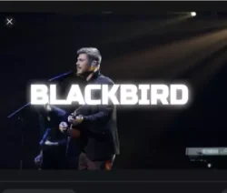 Cory Asbury - Blackbird
