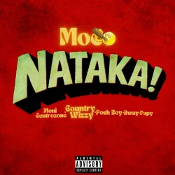 Country Wizzy - Nataka (feat. Moni Centrozone)