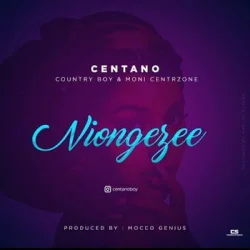 Country Wizzy - tano (feat. Moni Centrozone – Niongezee)