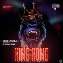 Criss Waddle - King Kong (feat. Kwesi Arthur)