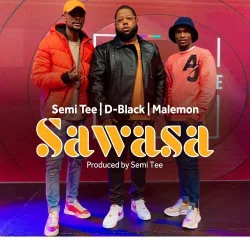D-Black - Malemon (feat. Sawasa & Semi Tee)
