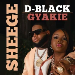 D-Black - Sheege (feat. Gyakie)