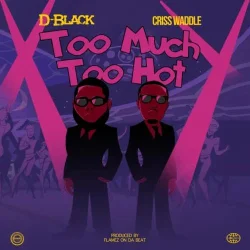 D-Black - Too Much Too Hot