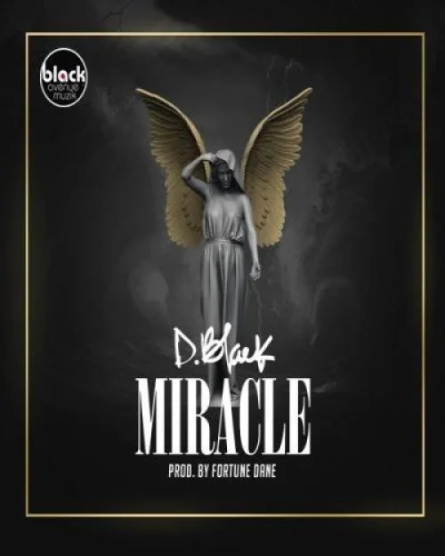 D.Black - Miracle