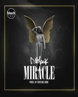 D.Black - Miracle