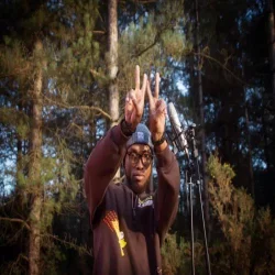 D14 - Origami Freestyle