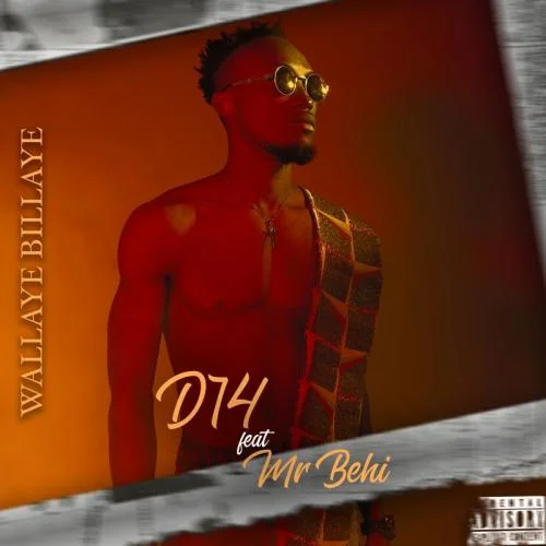 D14 - Wallaye Billaye