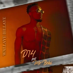 D14 - Wallaye Billaye