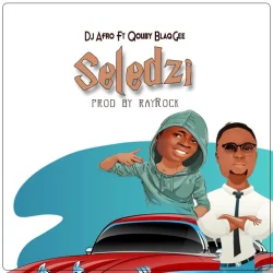 DJ Afro - Seledzi (feat. Qouby BlaqGee)