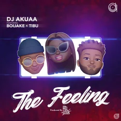 DJ Akuaa - The Feeling (feat. BoiJake & Tibu)