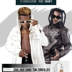 DJ Congélateur - Cailloux Dans Ton Zoreilles