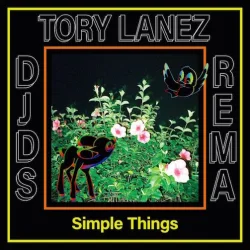 DJ DS - Simple Things (feat. Rema & Tory Lanez)