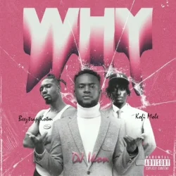 DJ Ikon - Why (feat. Beeztrap KOTM & Kofi Mole)