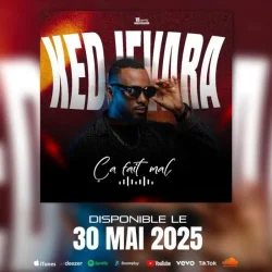 DJ Kedjevara - ça Fait Mal