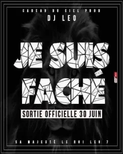 DJ Leo - Je Suis Faché