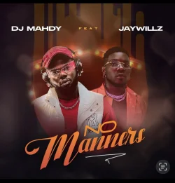 DJ Mahdy - No Manners (feat. Jaywillz)