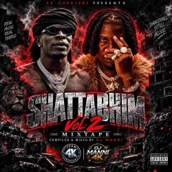 DJ Manni - Shatta Bhim Mixtape VOL.2