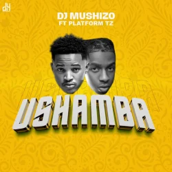 DJ Mushizo - Ushamba I (feat. Platform)