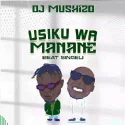 DJ Mushizo - Wengine Tunaaza Usiku