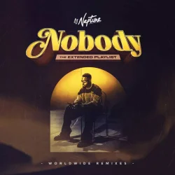 DJ Neptune - Nobody (French Remix) (feat. Joeboy & Tayc)
