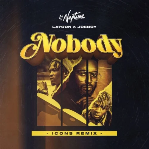 DJ Neptune - Nobody (Icon Remix) (feat. Joeboy & Laycon)