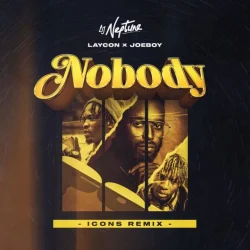DJ Neptune - Nobody (Icon Remix) (feat. Joeboy & Laycon)