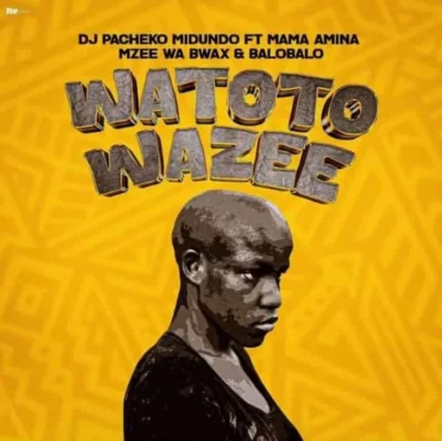 DJ Pacheko Midundo - Watoto Wazee (feat. Mama Amina, Mzee Wa Bwax & BaroBaro)
