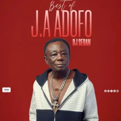 DJ Sedan - Best Of J.A Adofo