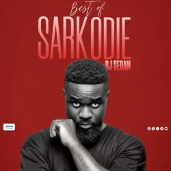 DJ Sedan - Best Of Sarkodie (Raperholic)
